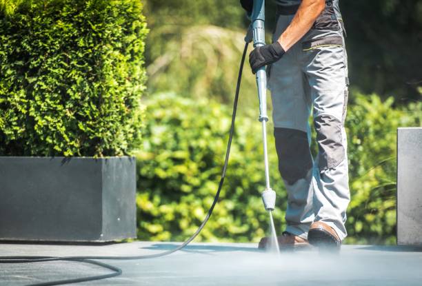 Best Roof Washing  in Naples Manor, FL